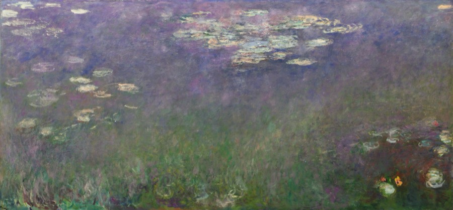 睡莲（百子莲） · Water Lilies (Agapanthus)